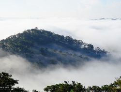 **Da Lat: Asia’s Most Affordable Summer Escape – Agoda** **Da Lat: Asia’s Most Affordable Summer Escape – Agoda**