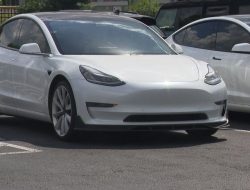 Arkansas Hits Record High in Electric Vehicle Registrations Arkansas Hits Record High in Electric Vehicle Registrations