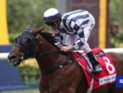 Racehorse Death Sparks Call for Investigation: Animal Rights Group Condemns Bloodsport