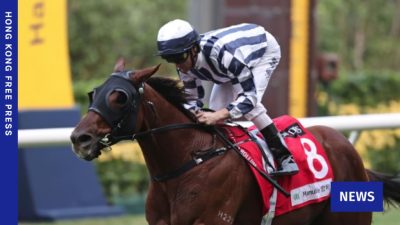 Racehorse Death Sparks Call for Investigation: Animal Rights Group Condemns Bloodsport
