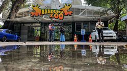 Bandung Zoo Ditutup Sementara, Wali Kota Minta Evaluasi Pengelolaan