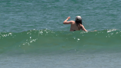 Jellyfish Stings Leave Swimmers in Agony for Hours, Family Reports in Hampton