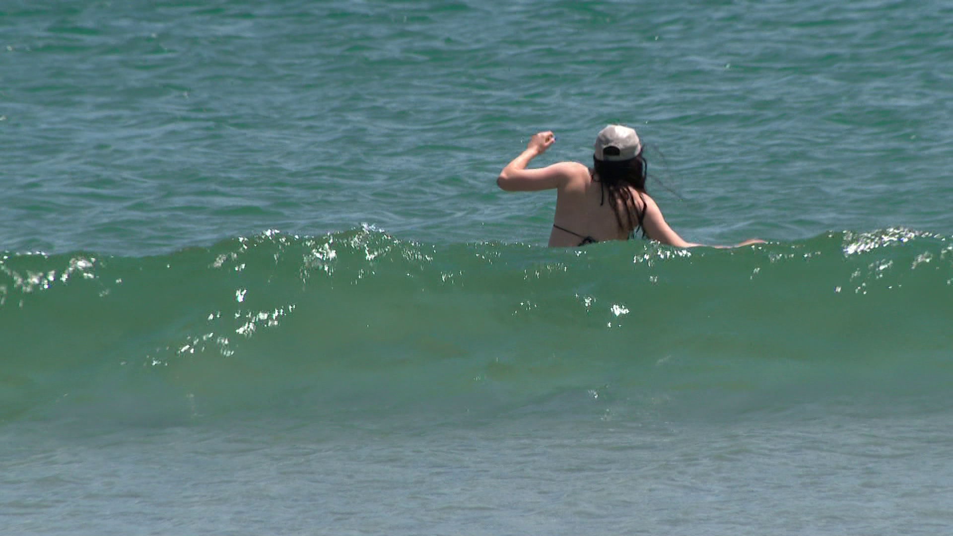 Jellyfish Stings Leave Swimmers in Agony for Hours, Family Reports in Hampton