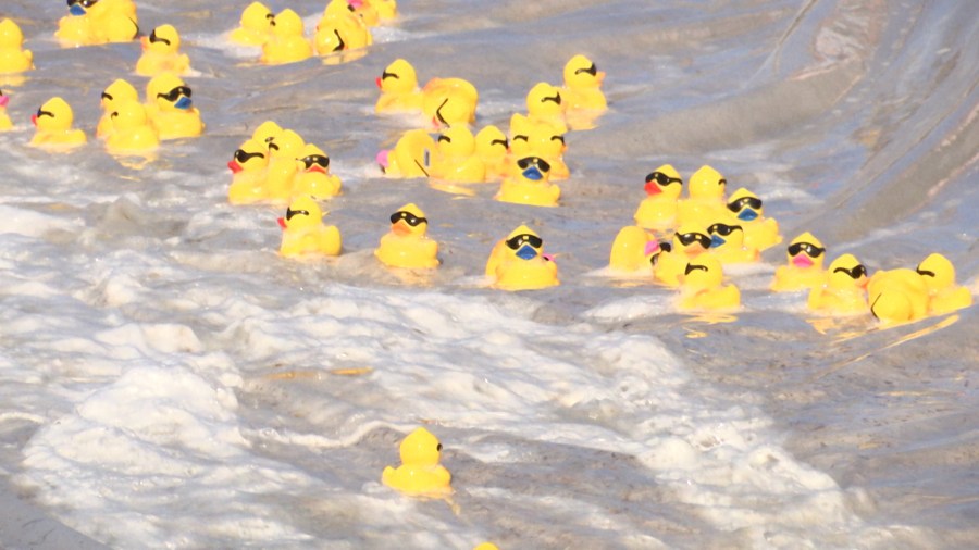Champion of the 2025 Rubber Duck Race!