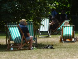 Third Heatwave Threatens UK by Mid-July, Warns Met Office Third Heatwave Threatens UK by Mid-July, Warns Met Office