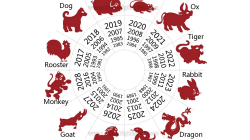 Ramalan Shio Hari Ini (5 Juli 2025): Tikus, Kerbau, Macan, Kelinci