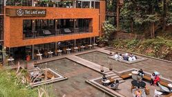 Ingin Menikmati Wisata Kuliner di Puncak Bogor? Ini Rekomendasi Tempat Makan Asyik untuk Keluarga dengan Nuansa Alam