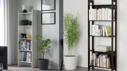 5 Rak Buku IKEA Terlaris: Desain Minimalis & Multifungsi 5 Rak Buku IKEA Terlaris: Desain Minimalis & Multifungsi