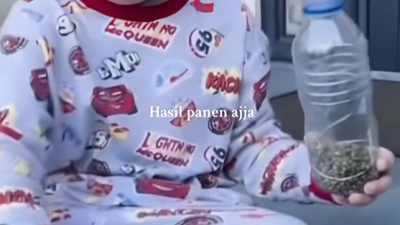 Tentu! Berikut rephrasing dari judul tersebut dalam Bahasa Indonesia yang lebih menarik dan tetap menjaga maknanya:

**”7 Momen Kocak Cipung Niat Tanam Taoge, Malah Tumbuh Daun Kacang Hijau!”**

Jika ingin nuansa lebih viral atau ala media sosial, bisa juga versi ini:

**”Cipung Usaha Banget, Tanam Taoge Malah Tumbuh Daun Kacang Hijau! (Kocak Abis)”**

Pilih yang paling sesuai dengan gaya kontenmu!
