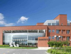 How Chinese Researchers Unlocked Organ Regeneration Secrets
