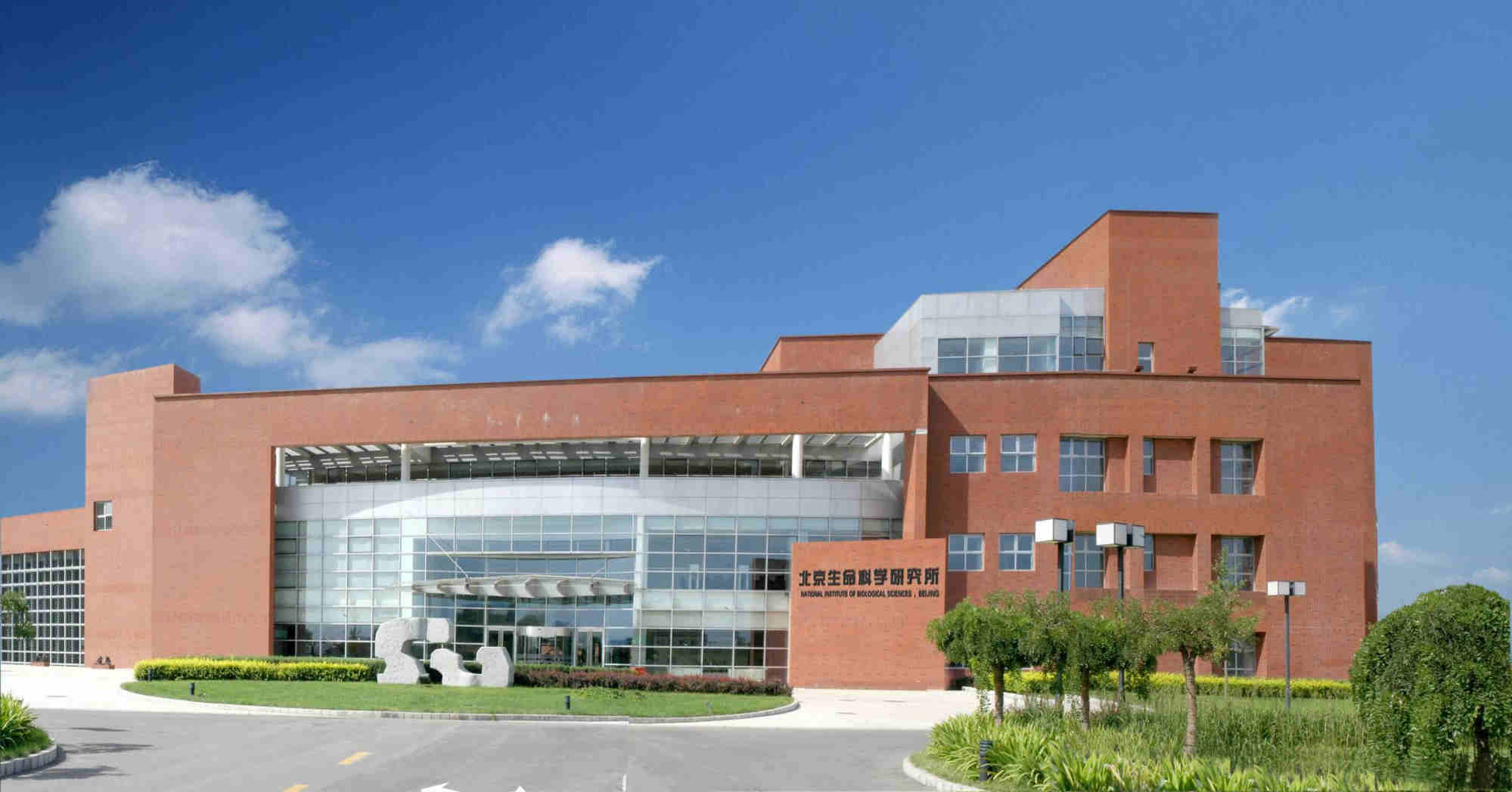 How Chinese Researchers Unlocked Organ Regeneration Secrets
