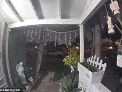 Strange creature spotted on doorbell camera raises alien visitor concerns
