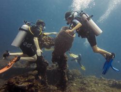 [Foto] Keindahan Bawah Air yang Memukau di Desa Wisata Tulamben, Bali
