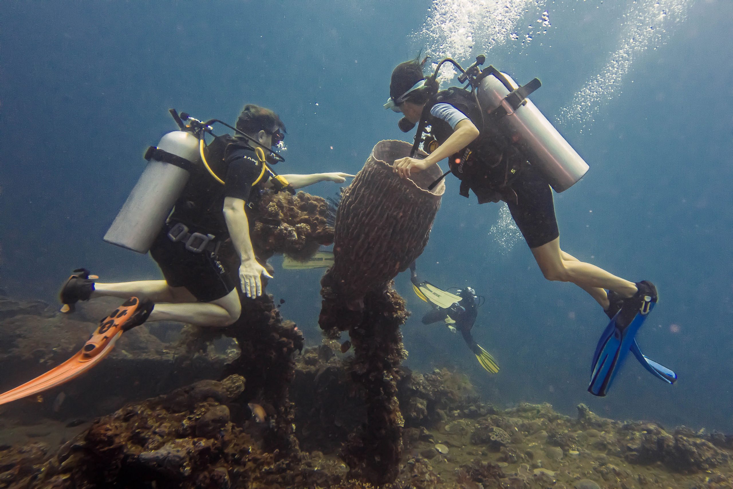 [Foto] Keindahan Bawah Air yang Memukau di Desa Wisata Tulamben, Bali