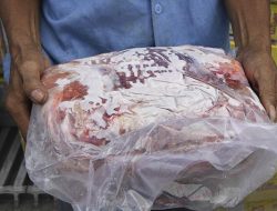Tips Menyimpan Daging di Freezer, Suhu Ideal dari Pakar IPB