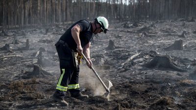 Firefighters in Europe combat wildfires as blazes rage in Germany, Greece, and Turkey