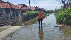 Banjir Rob Semakin Parah, Ambulu Terancam Menghilang dari Peta Cirebon