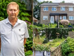 Beekeeper’s War: Swarms Destroy Neighbors’ Gardens Beekeeper’s War: Swarms Destroy Neighbors’ Gardens