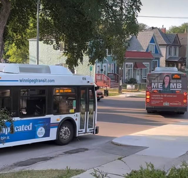 Gold: Is Winnipeg’s Transit Plan the Next New Coke Disaster?
