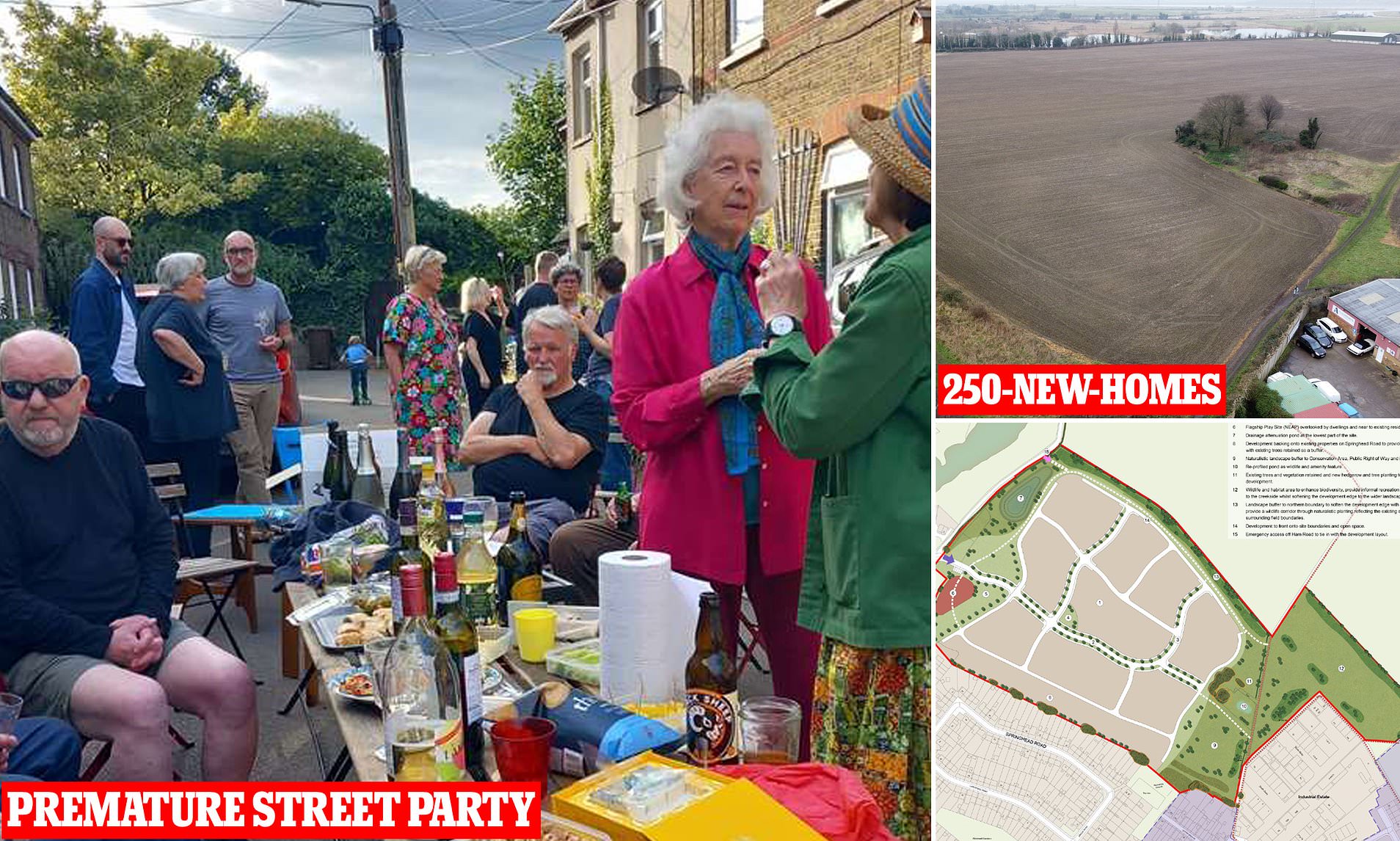 NIMBYs Celebrate Blockade of 250-Home Project, Then Stunned by Appeal