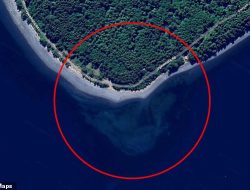 Google Maps Users Stunned by Mysterious Skull Off Canadian Coast
