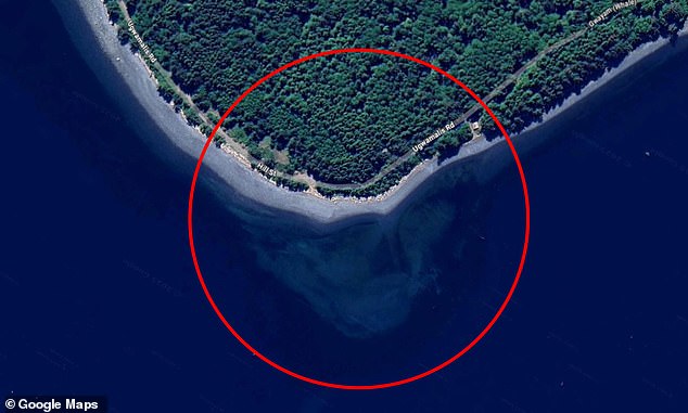 Google Maps Users Stunned by Mysterious Skull Off Canadian Coast