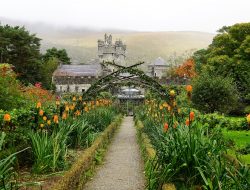 Botanical Wonders: Ireland’s Stunning Parks, Greenhouses, and Gardens
