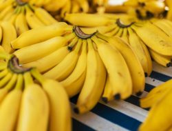 6 Alasan Pisang Jadi Camilan Ideal Saat Berolahraga 6 Alasan Pisang Jadi Camilan Ideal Saat Berolahraga