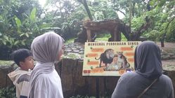 Pengunjung Bandung Zoo Tetap Ramai, Tapi Kebijakan Manajemen Menimbulkan Ketidakpuasan Karyawan