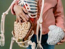 7 Fakta Mengejutkan tentang Mayat yang Dipelajari Mahasiswa Kedokteran 7 Fakta Mengejutkan tentang Mayat yang Dipelajari Mahasiswa Kedokteran