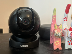 Is a pet camera worth it? I tested one to find out! Is a pet camera worth it? I tested one to find out!