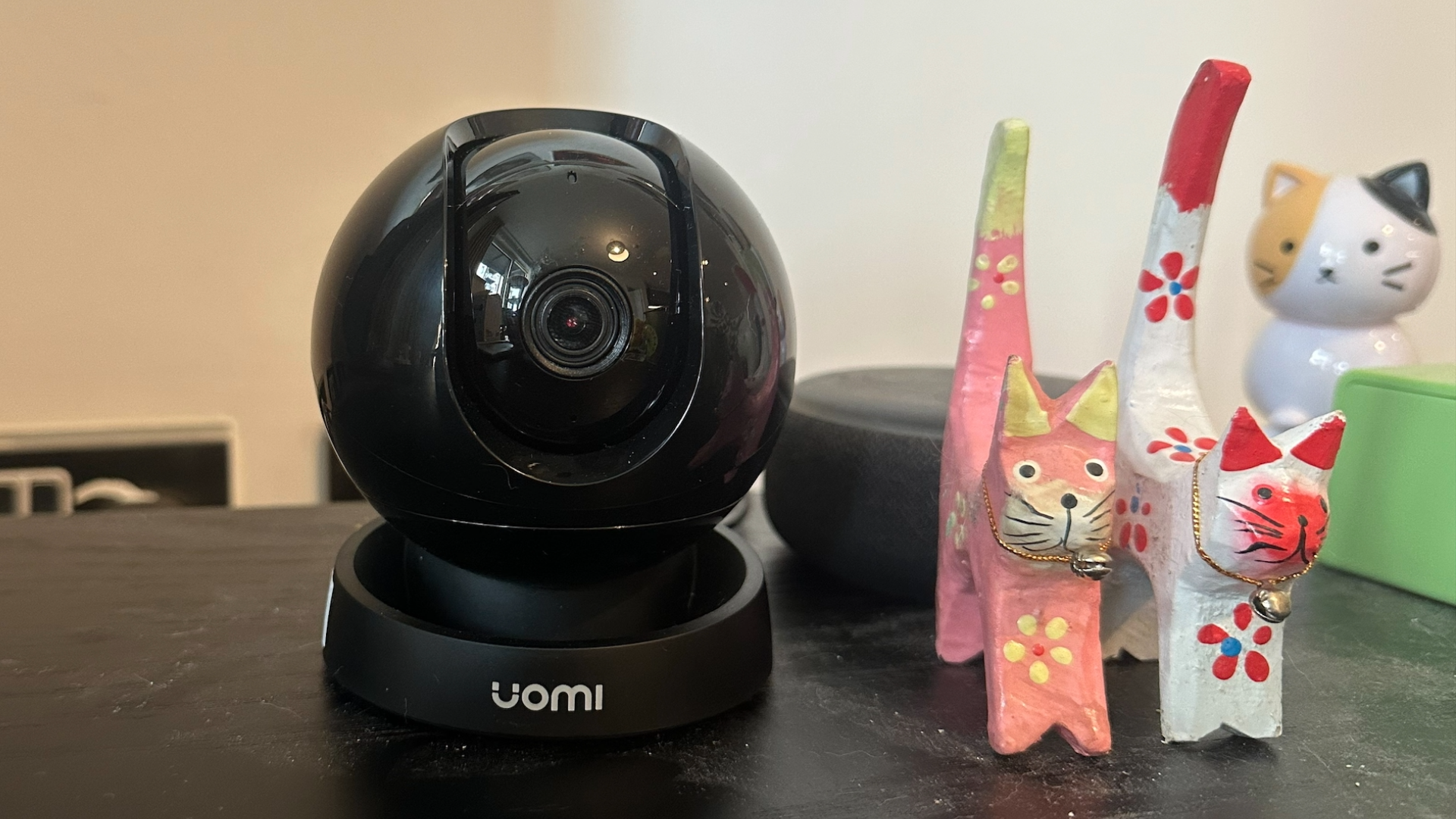 Is a pet camera worth it? I tested one to find out!