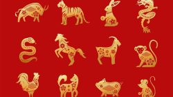 Ramalan Shio Jumat 11 Juli 2025: Naga, Ular, Kuda, dan Kambing