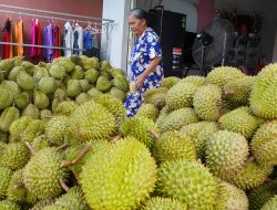 Frozen Durian Exports Triple in First Half