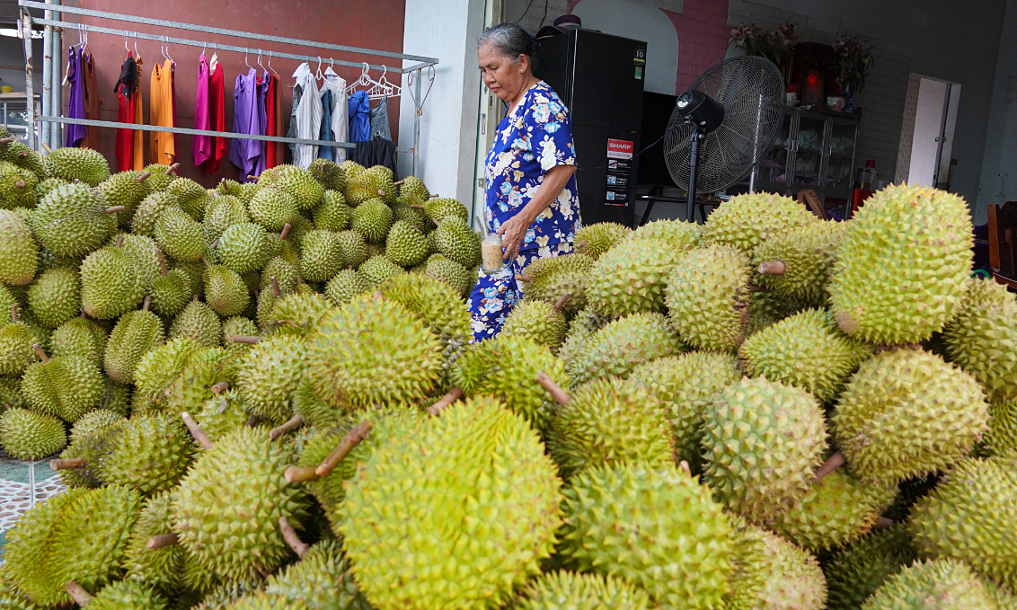 Frozen Durian Exports Triple in First Half