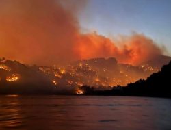 Perubahan Iklim Picu Kebakaran Hutan di Eropa Perubahan Iklim Picu Kebakaran Hutan di Eropa