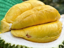 China Slashes Durian Imports by 30% Amid Tougher Quality Rules for Southeast Asian Suppliers