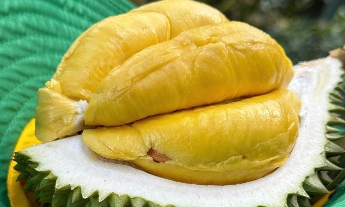 China Slashes Durian Imports by 30% Amid Tougher Quality Rules for Southeast Asian Suppliers