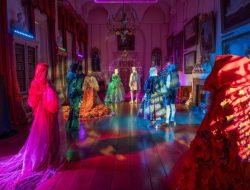 Exciting Christmas Experience Unveiled in the New Forest