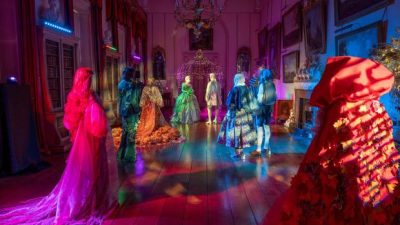 Exciting Christmas Experience Unveiled in the New Forest