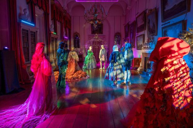 Exciting Christmas Experience Unveiled in the New Forest
