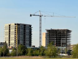 New Brunswick cities growing denser with population increase New Brunswick cities growing denser with population increase