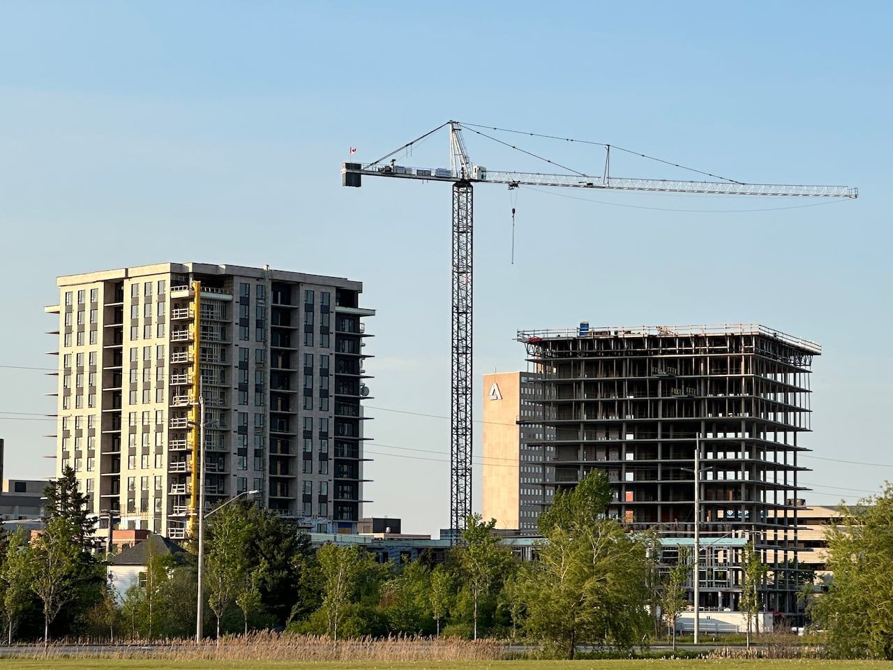 New Brunswick cities growing denser with population increase
