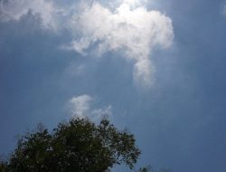 Central Tokyo Hits 35.6°C, Marks Year’s First Extreme Heat Day Central Tokyo Hits 35.6°C, Marks Year’s First Extreme Heat Day