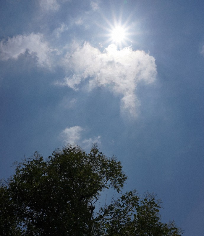 Central Tokyo Hits 35.6°C, Marks Year’s First Extreme Heat Day