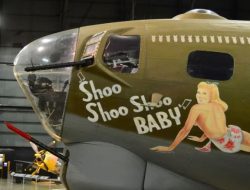What Do Bomb Marks on Military Jets Signify?