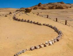 Whale Fossils with Legs Uncover Evolutionary Mystery in Egypt’s Desert Whale Fossils with Legs Uncover Evolutionary Mystery in Egypt’s Desert