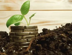 Veranda Learning Raises Rs 357 Crore via QIP to Cut Debt — Investor Details