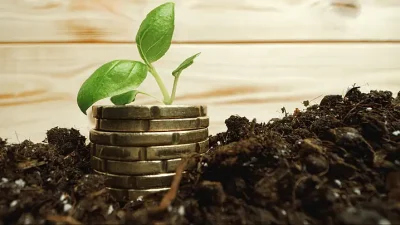 Veranda Learning Raises Rs 357 Crore via QIP to Cut Debt — Investor Details