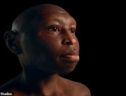 Unveiled: The Most Accurate Faces of Ancient Human Species